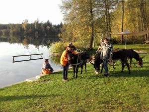 Spaziergang mit Eseln und Rast am See